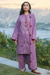 Gulrang (ZW24-13)