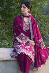 Afreen (ZW24-12)