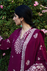 Afreen (ZW24-12)