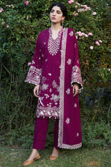 Afreen (ZW24-12)