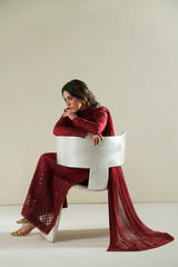 Vera Raw Silk Edit '26 | Laal Crimson Shirt Set