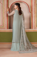 Zarif Falesia Formals '25 DINAAR luxury outfit in net and raw silk