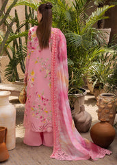 Organza back hem border embroidery in Crimson D2A suit