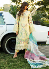 Sadaf Fawad Lawn '25 | Mid Summer Evening-3B | 3PC Embroidered Lawn Suit