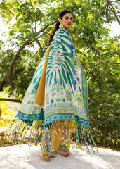 Sadaf Fawad Lawn '25 | Liana-6B | 3PC Embroidered Lawn Suit