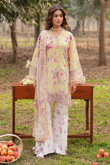 Ramsha DHANAK LAWN Vol 01 | DH-105