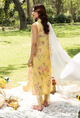 Full view of front and back lawn panels – D-06