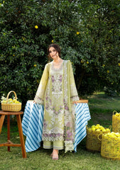 Elaf Luxury Lawn '26 | ELY-08 PISTACHIA