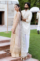 Shagna| SF-05- SUNDAL | Mehfil Festive Formals