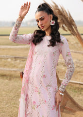 Sardinia Festive Lawn '26 | Rose Bud