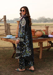 Sardinia Festive Lawn '26 | Dusk