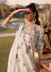 Sardinia Festive Lawn '26 | Wild Flower