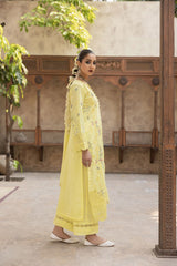 Zyra by Nirmal | Glow