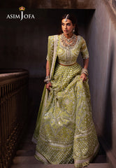 Bekhudi Collection'24 By Asim Jofa AJKB-04