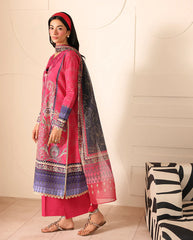 Roheenaz | Rameen | Pareesa Printed
