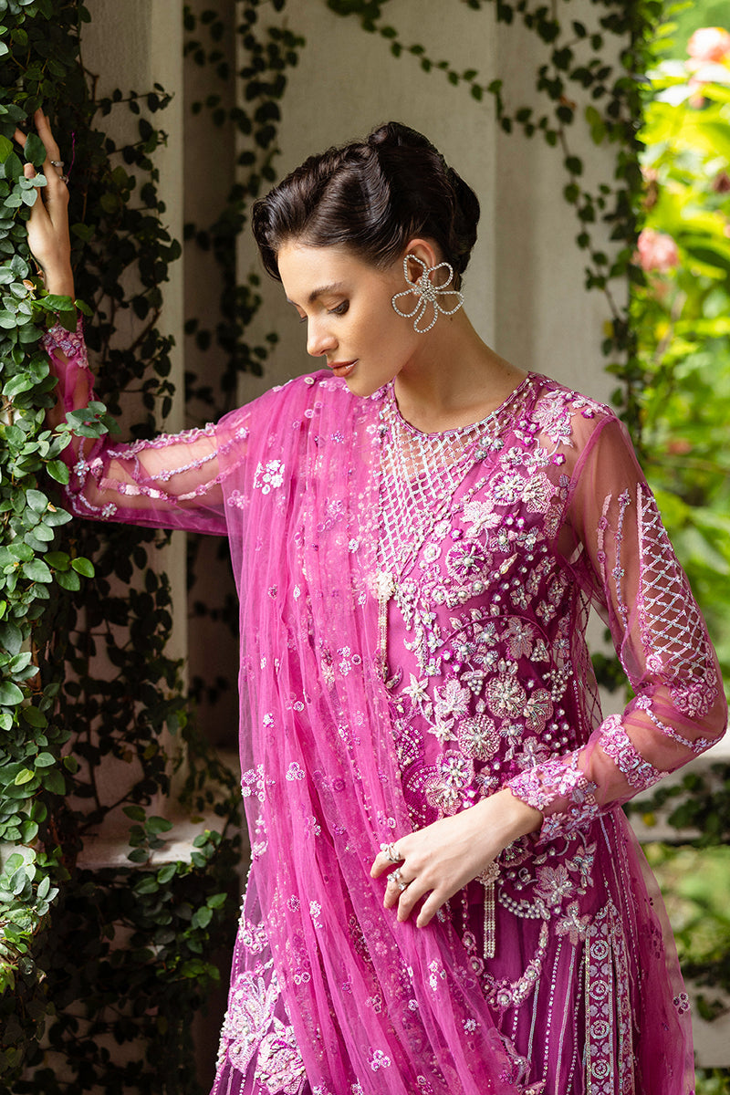 Mushq | Inception Hemline Wedding'25 | Sweet November