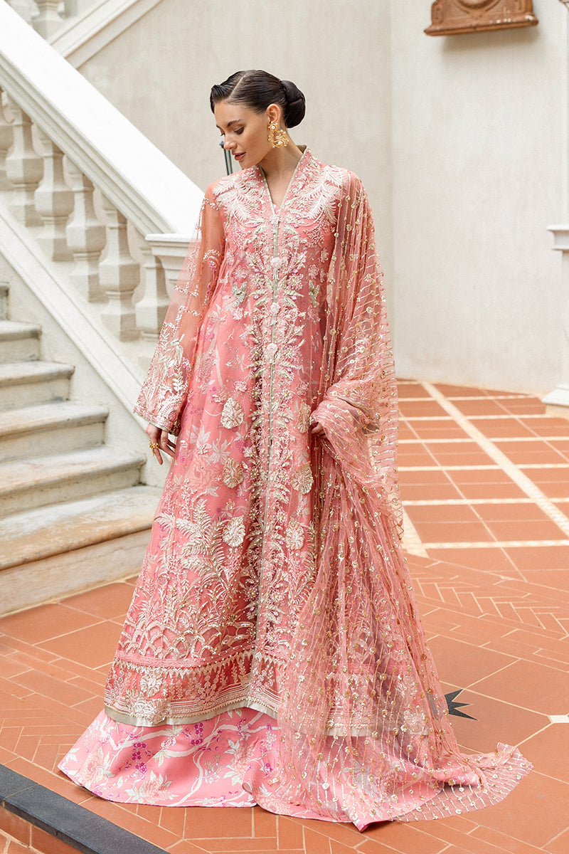 Mushq | Inception Hemline Wedding'25 | Wings of Desire