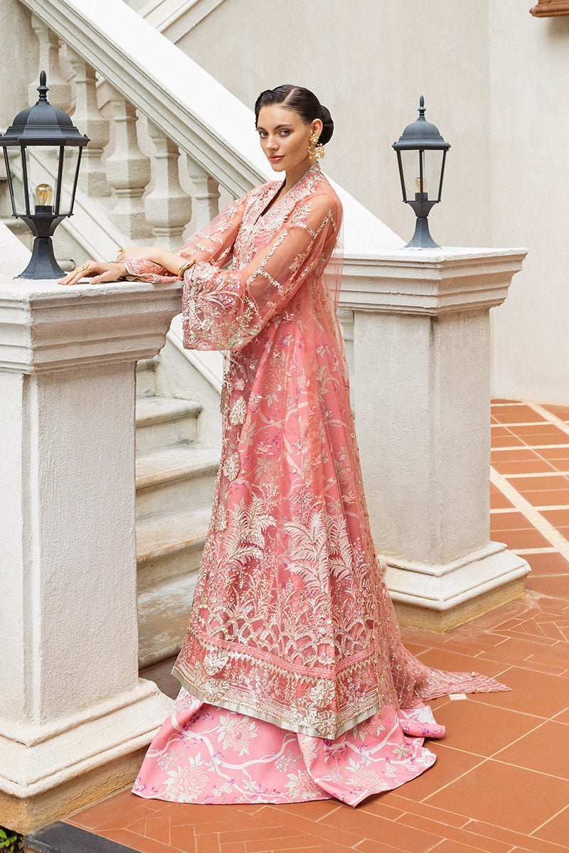 Mushq | Inception Hemline Wedding'25 | Wings of Desire
