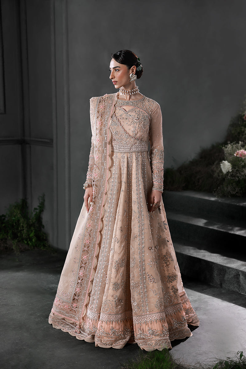 Qalamkar | Elirah Formal | MF-01 LUSTRA