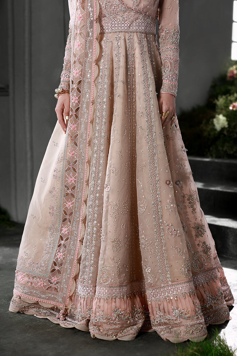 Qalamkar | Elirah Formal | MF-01 LUSTRA