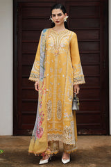 QLine | KL-06 GLEAM | Linen Collection