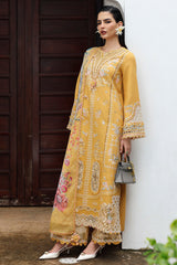 QLine | KL-06 GLEAM | Linen Collection
