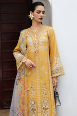 QLine | KL-06 GLEAM | Linen Collection