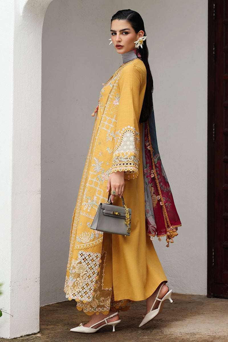 QLine | KL-06 GLEAM | Linen Collection