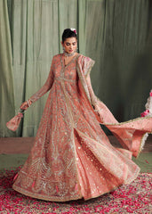 Veere Di Wedding Brides Edit '25 MEHARMA