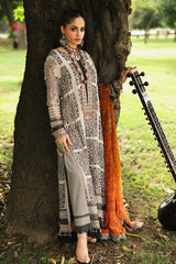 Charizma | VSL25-30 | Vasal - Vol 4 Luxury Chiffon