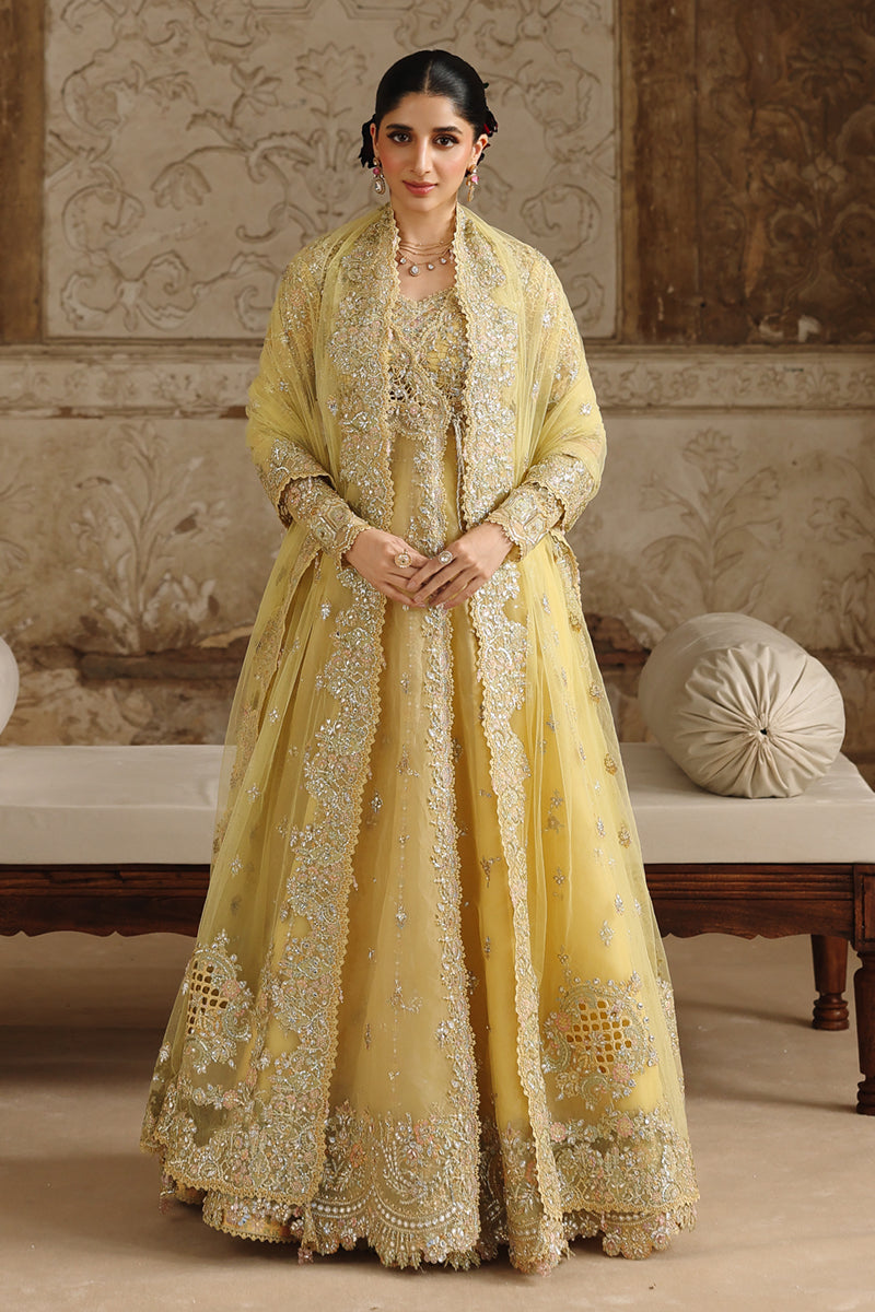 Qalamkar Shadmani WEDDING FORMALS 2025 | RH-06 HOOR