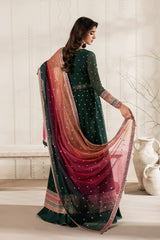 Bayaan Chiffon by Zarif | ALVA