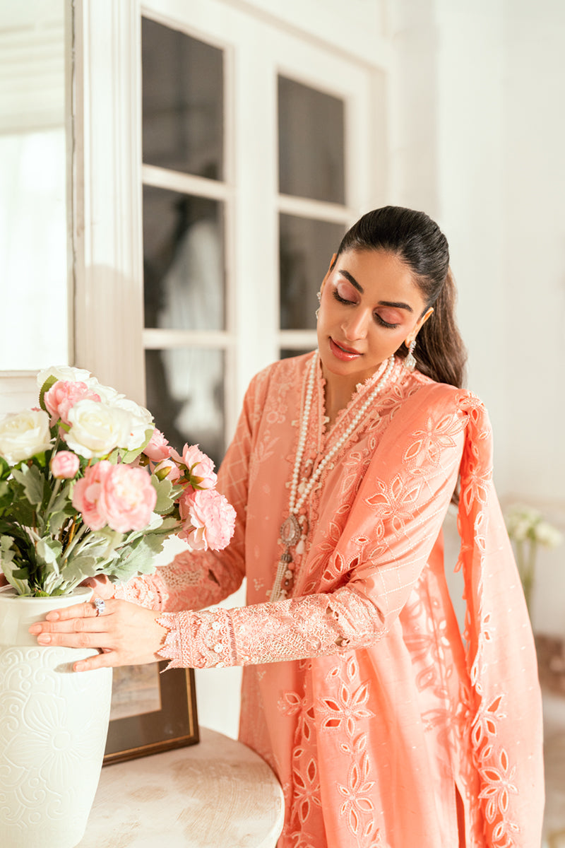 QALAMKAR | SB-12 Jafa | Luxury Lawn Edit '25