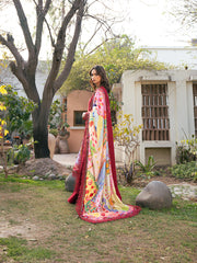 Bin Ilyas | 2071 - B | Hazel Printed Embroidered Lawn '25