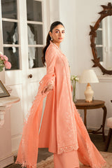QALAMKAR | SB-12 Jafa | Luxury Lawn Edit '25