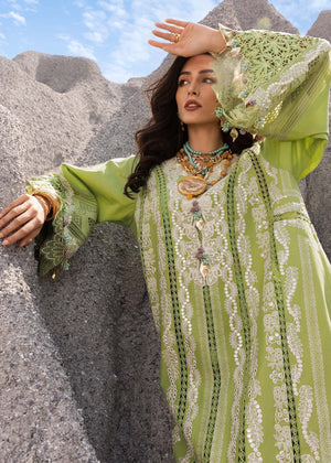 Saira Shakira | NADINE-B| Unstitched Lawn'25