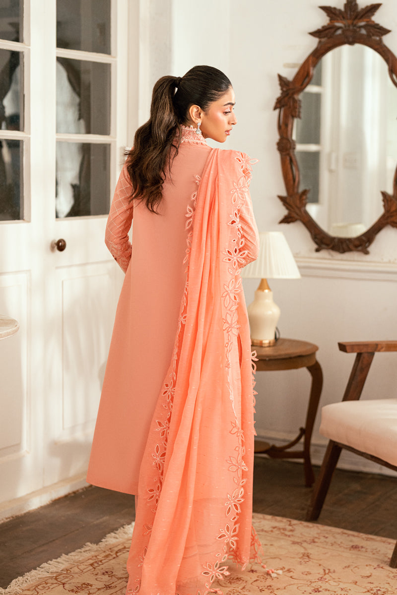 QALAMKAR | SB-12 Jafa | Luxury Lawn Edit '25