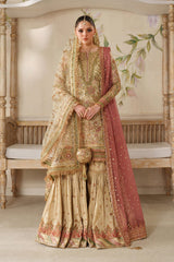 Baroque |  CH14-02 | EMBROIDERED NET UNSTITCHED