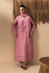 Qalamkar - QPrints Winter '26 - QPW-07 (A) Seema