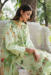 HumDum | D-02 | Summer Breeze'25