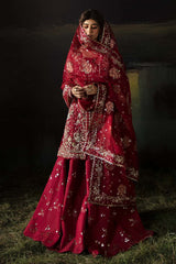 Afrozeh by Hayat Wedding Formals'24 (ABEER)