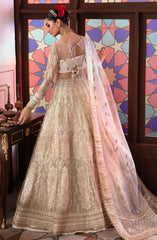 Zevk | BushraParacha  Wedding Formals | Alif