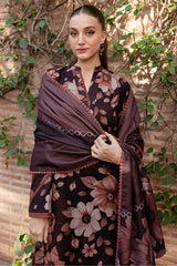 The Winter Whispers Collection'24 By Farasha Rustic