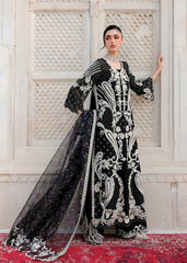 Saira Shakira Wedding - Delina