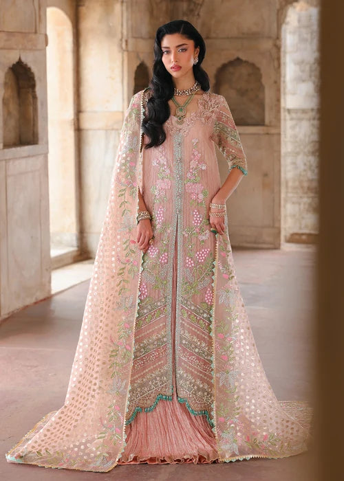 Saira Shakira Wedding - Zinnia