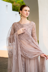Iznik | Chinon Chiffon | CC-71 Embroidered Chiffon