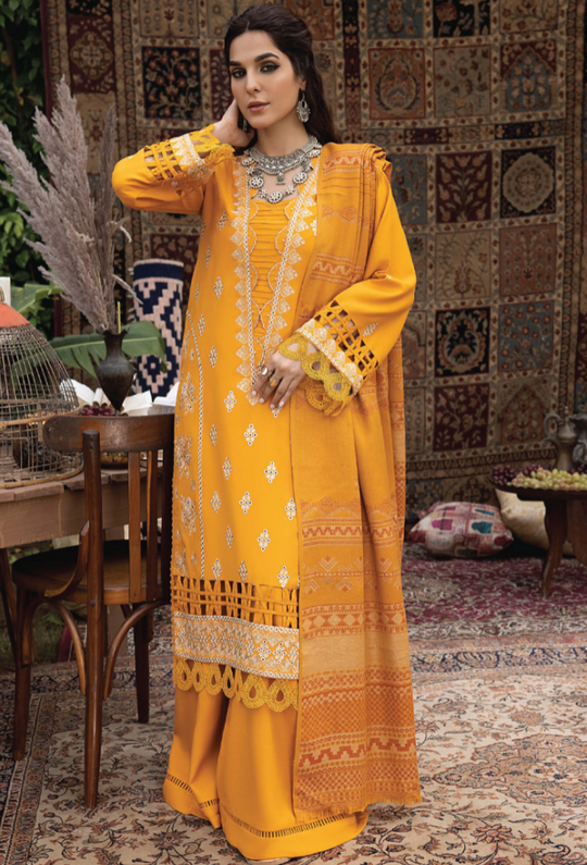 Denara Collection'24 By HumDum D03