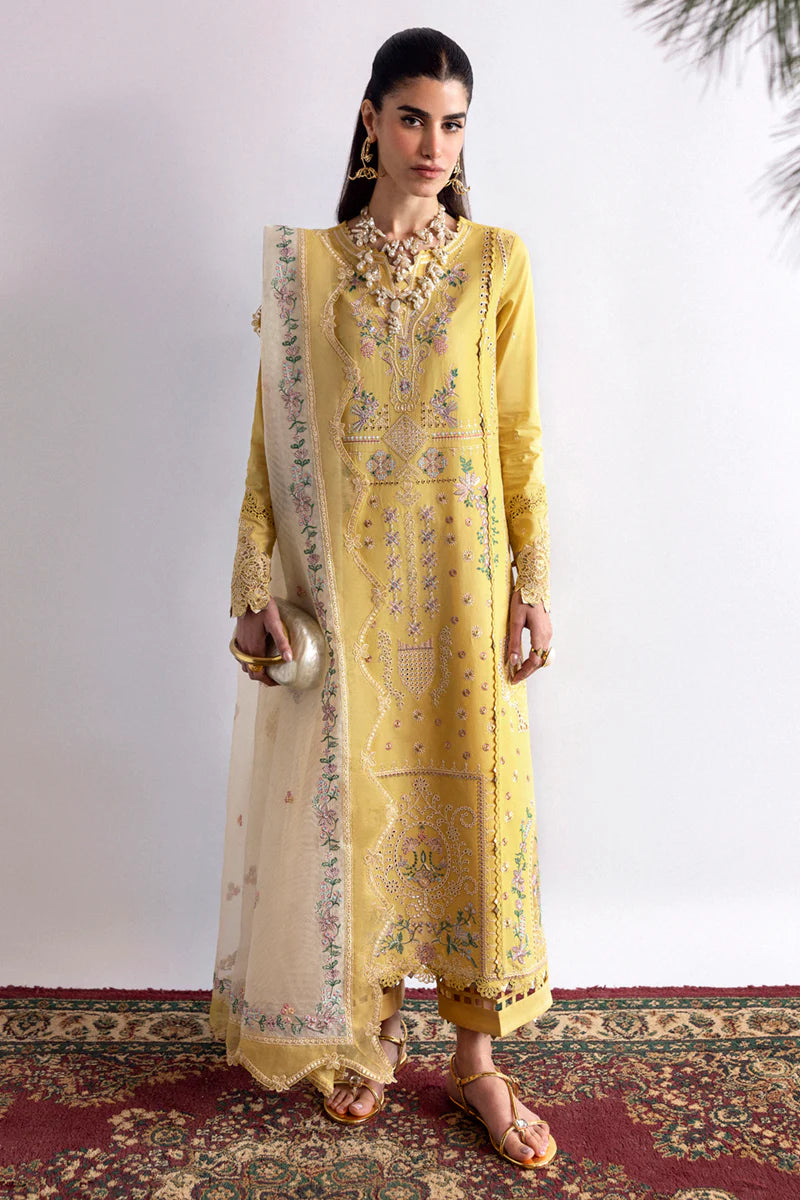 Qalamkar | DC-09 Enya | Qlinekari