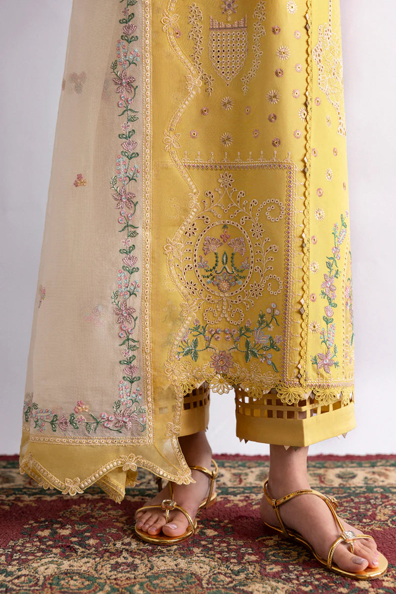 Qalamkar | DC-09 Enya | Qlinekari