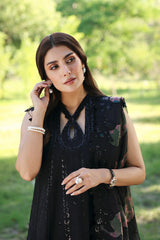 Afrozeh A Lawn '26 | AURAVIE